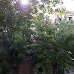 Franco-home Palermo
