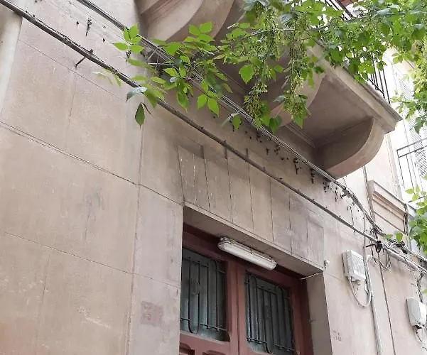 Franco-home Palermo